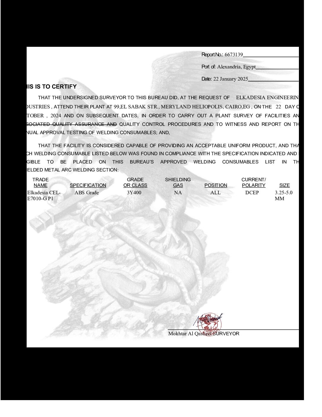 7010-ABS-2025-pdf